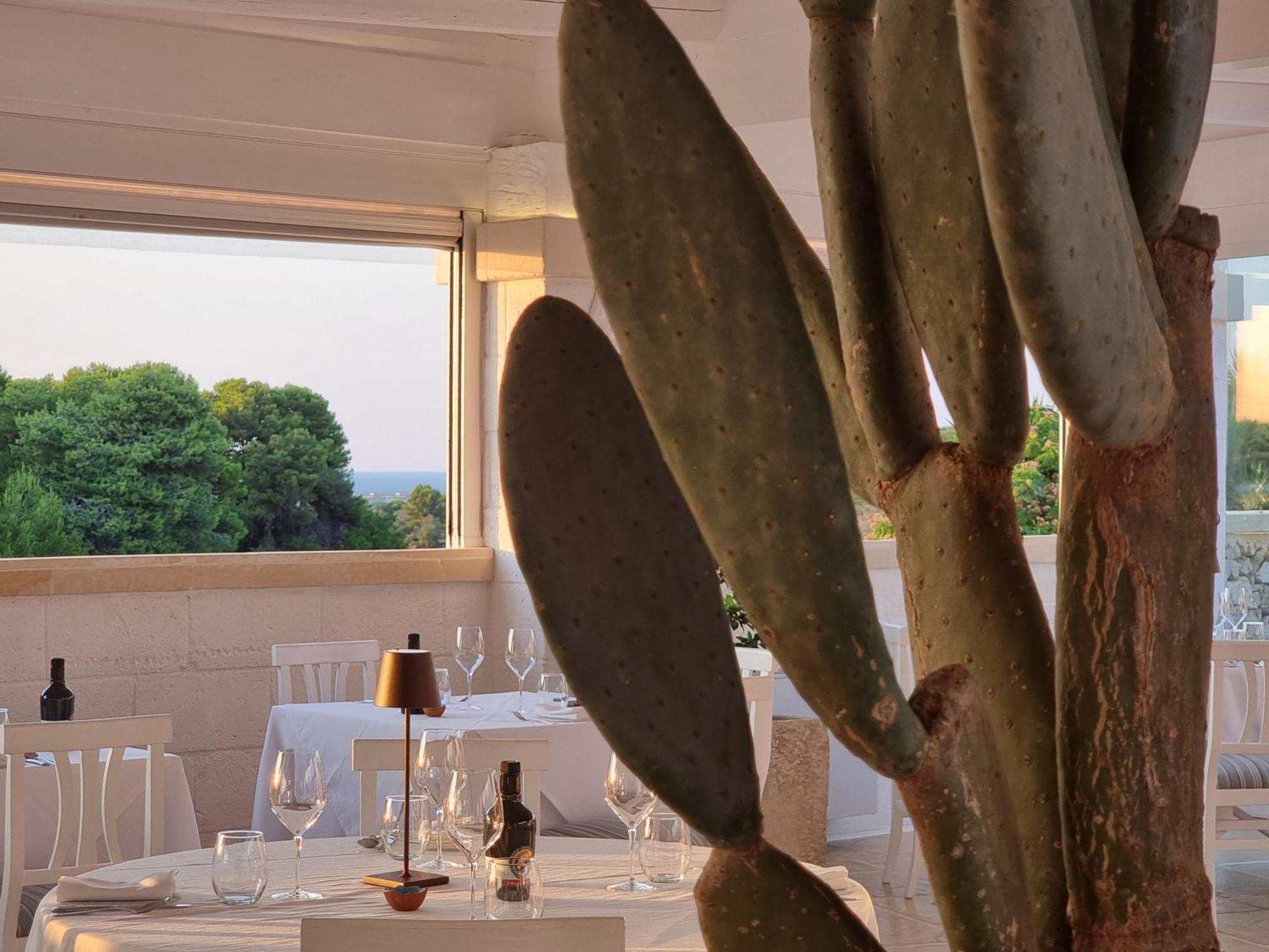 Masseria Bandino & Spa โอตรันโต ภายนอก รูปภาพ
